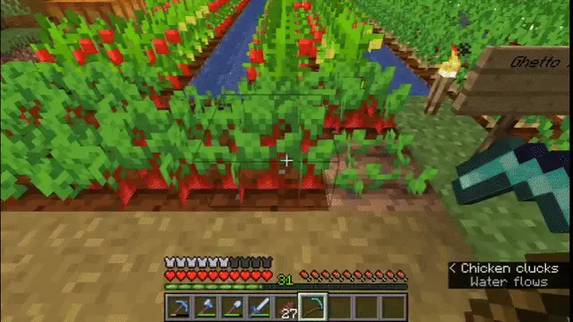 Harvesting with scythe